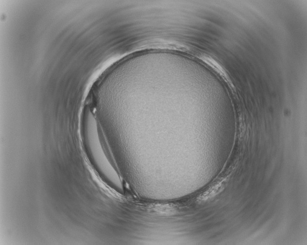 X0000058131128200510212039