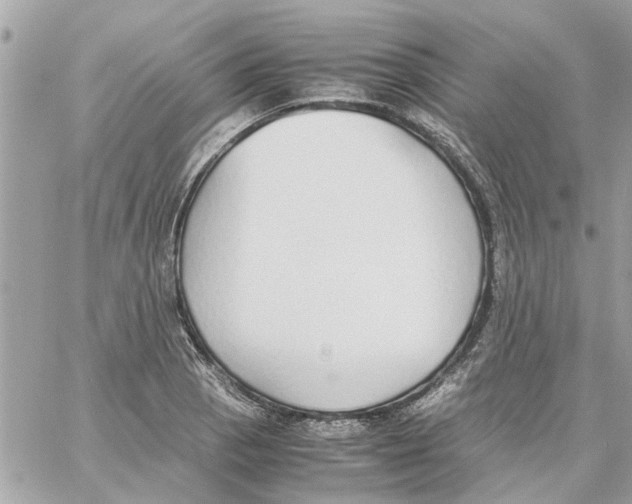 X0000058131129200510212039