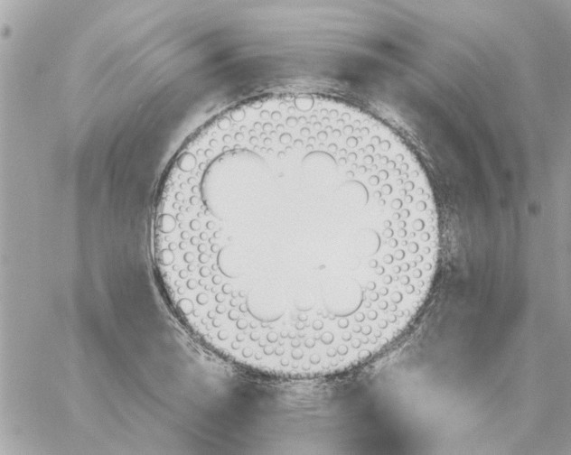 X0000058131130200510212039