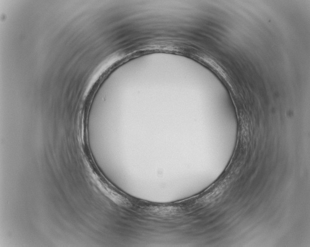 X0000058131131200510212039