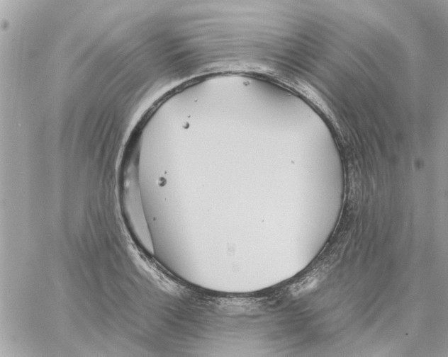 X0000058131132200510212039