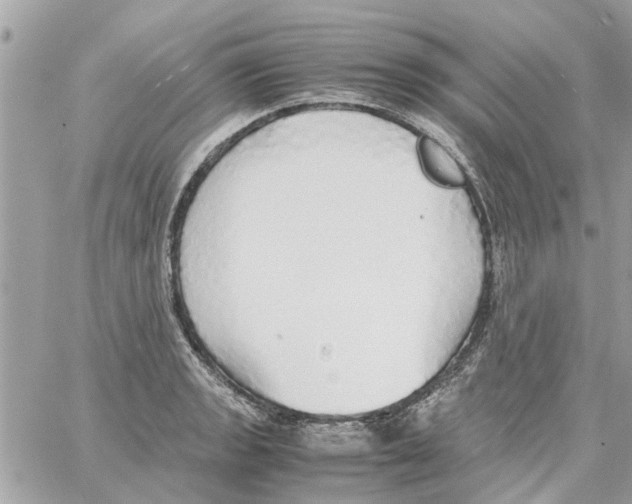 X0000058131133200510212039