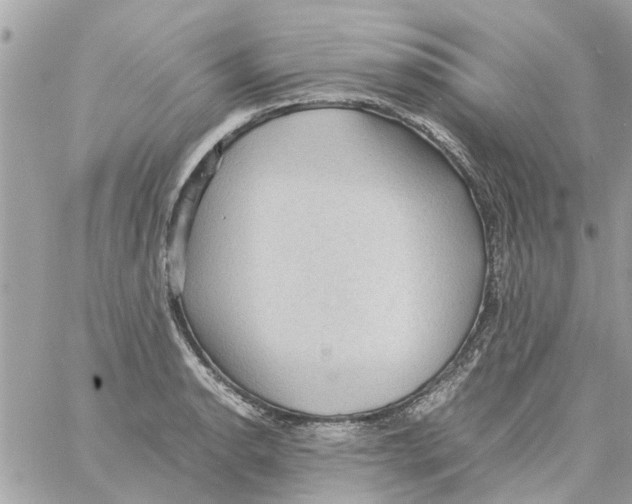 X0000058131134200510212039