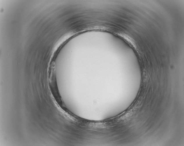 X0000058131135200510212039