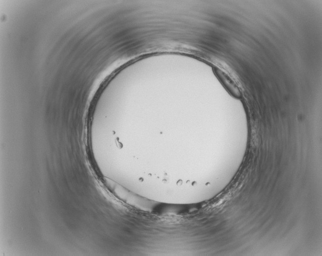 X0000058131136200510212039