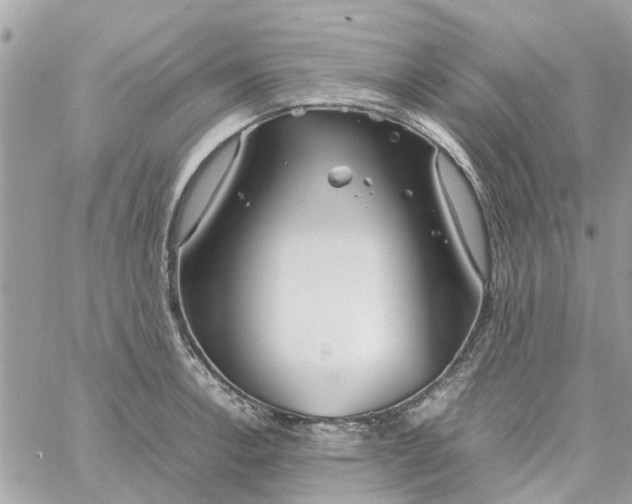 X0000058131138200510212039