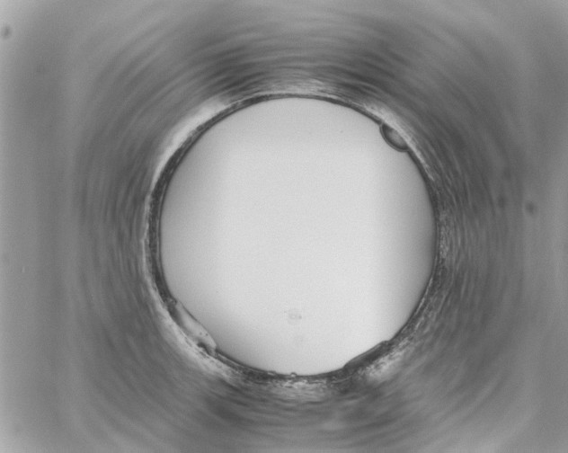 X0000058131139200510212039