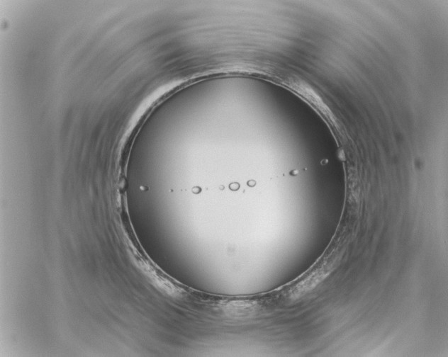 X0000058131140200510212039