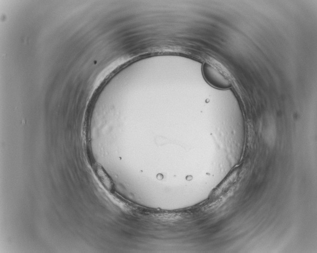 X0000058131141200510212039