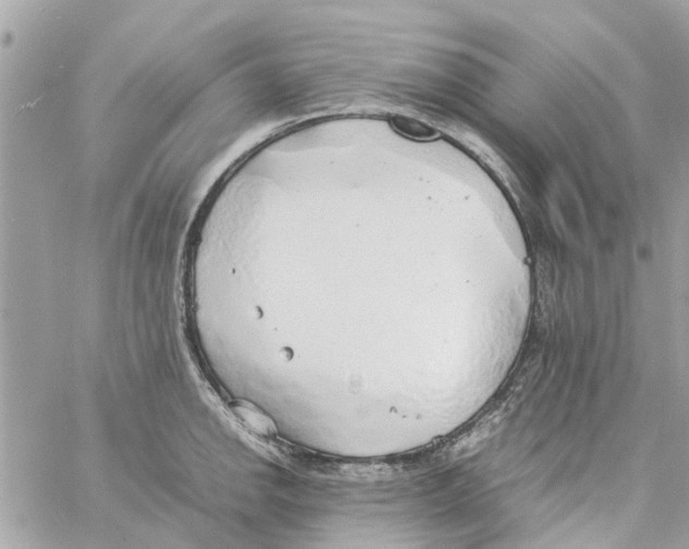 X0000058131142200510212039