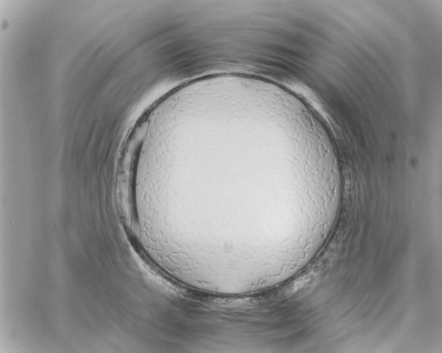 X0000058131143200510212039