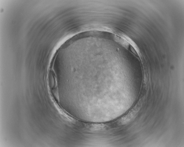 X0000058131144200510212039