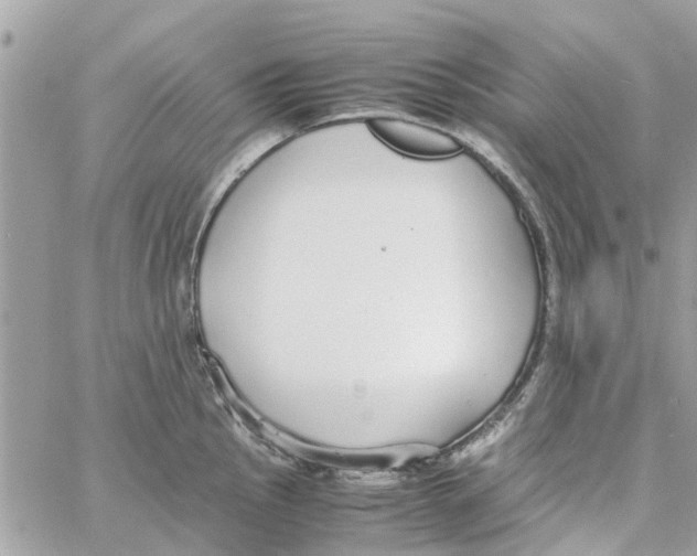 X0000058131145200510212039