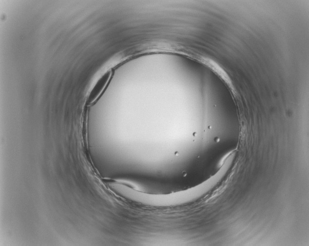 X0000058131146200510212039