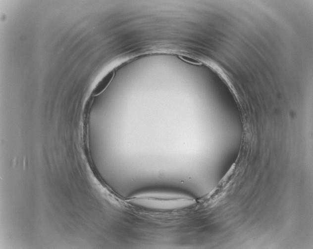 X0000058131147200510212039