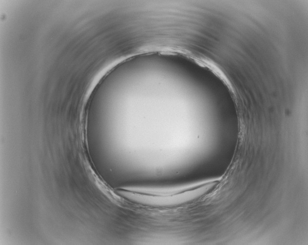 X0000058131148200510212039