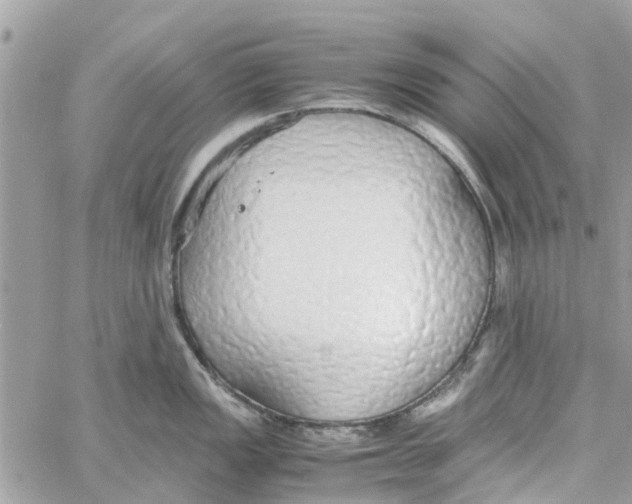 X0000058131149200510212039