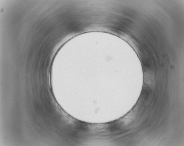 X0000058131150200510212039