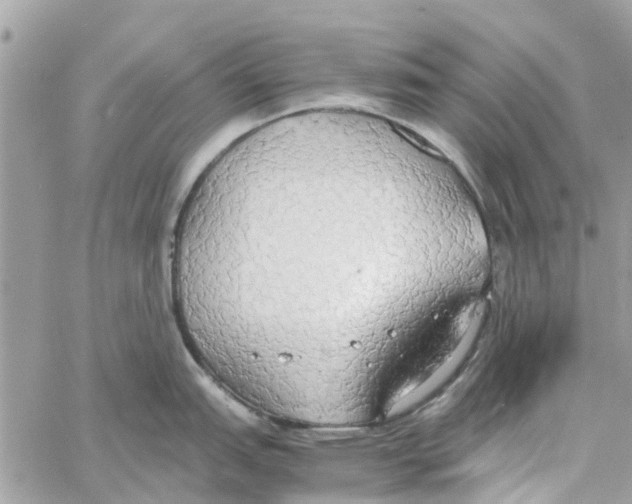 X0000058131151200510212039