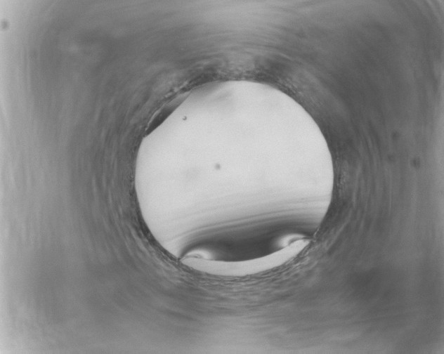 X0000058131153200510212038