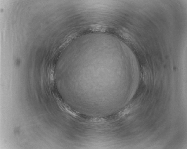 X0000058131154200510212038