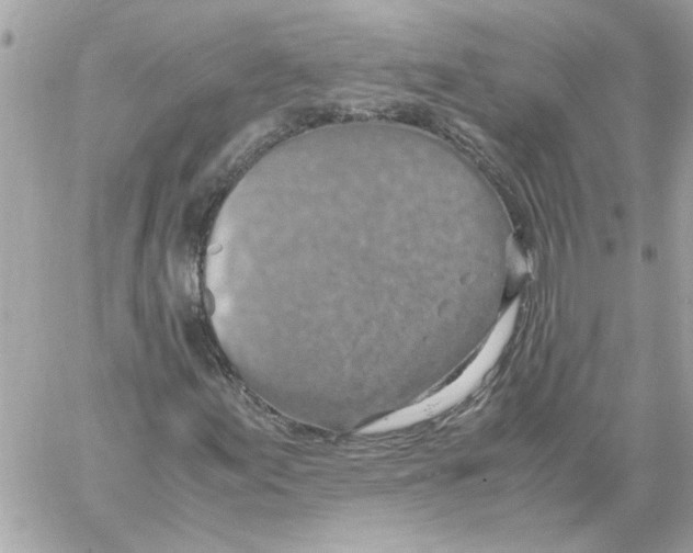 X0000058131155200510212038