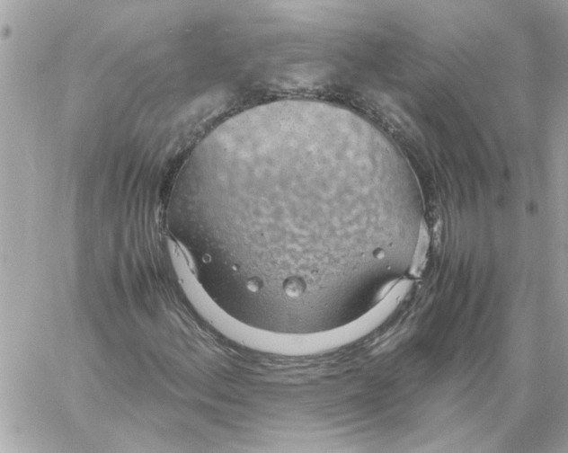 X0000058131156200510212038