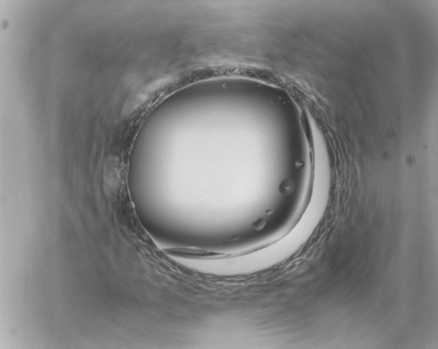 X0000058131157200510212038