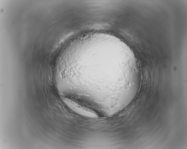 X0000058131158200510212038