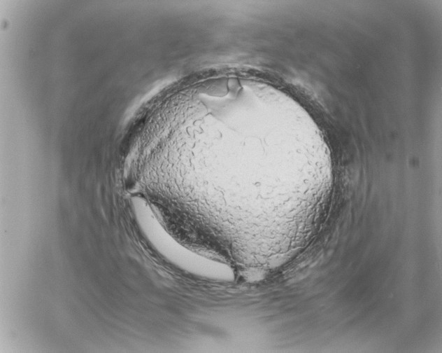 X0000058131159200510212038