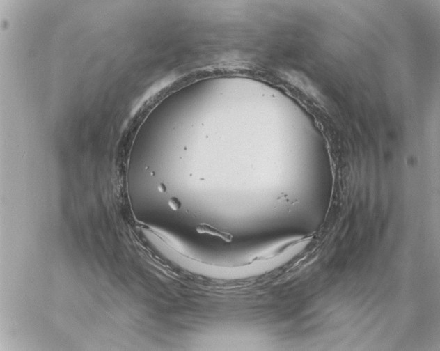 X0000058131160200510212038