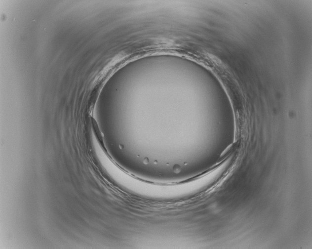 X0000058131161200510212038