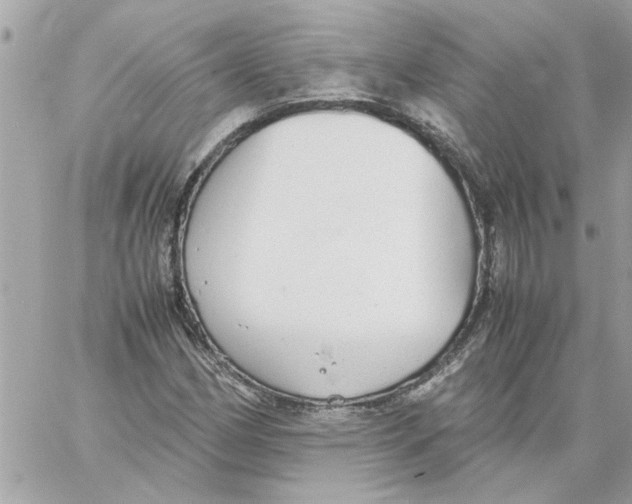 X0000058131162200510212038