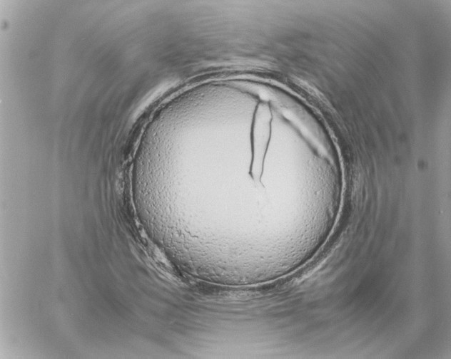 X0000058131163200510212038