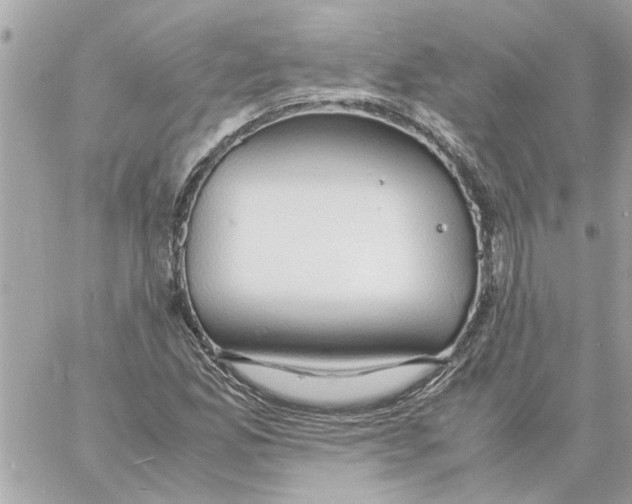 X0000058131165200510212038