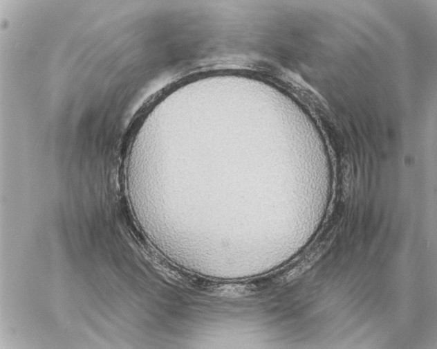 X0000058131166200510212038