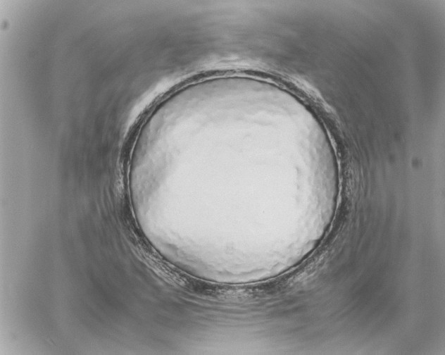 X0000058131167200510212038