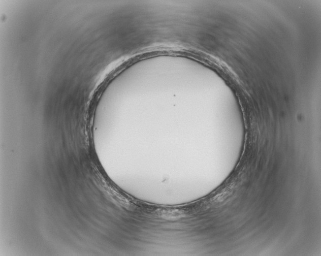 X0000058131168200510212038