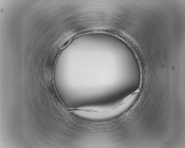 X0000058131169200510212038