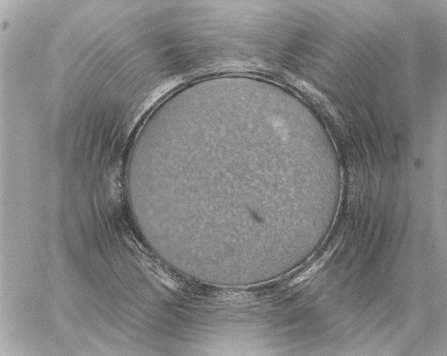 X0000058131170200510212038