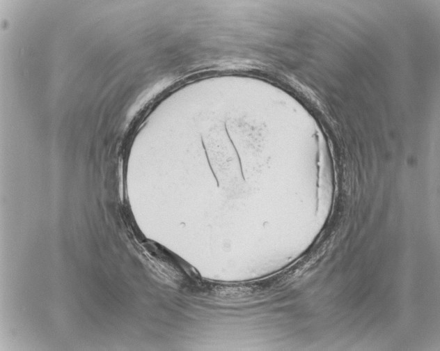 X0000058131171200510212038