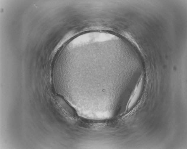 X0000058131173200510212038