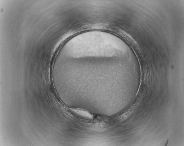 X0000058131174200510212038