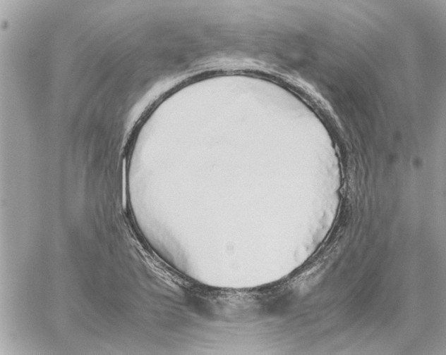 X0000058131175200510212038