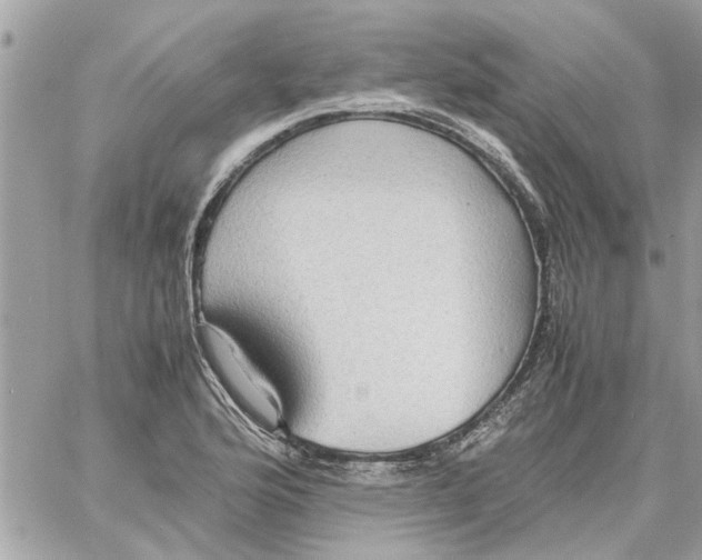 X0000058131176200510212038