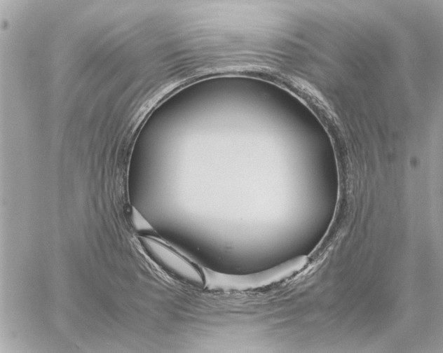 X0000058131177200510212038