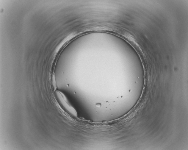 X0000058131181200510212038