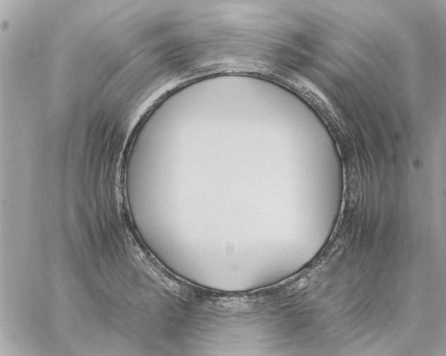 X0000058131182200510212038