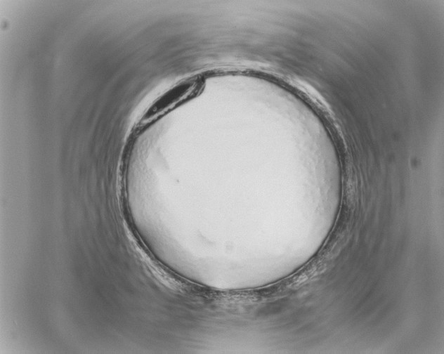 X0000058131183200510212038