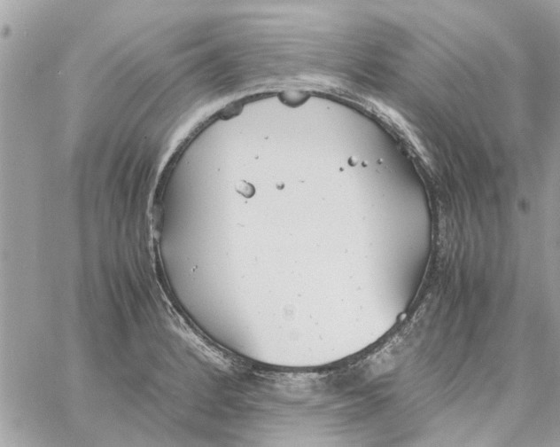 X0000058131184200510212038